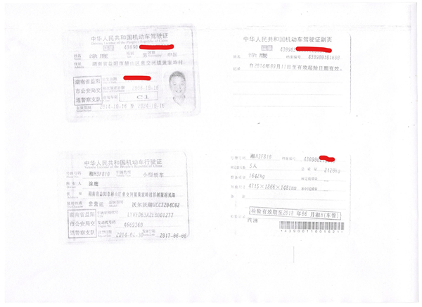 涂鹰