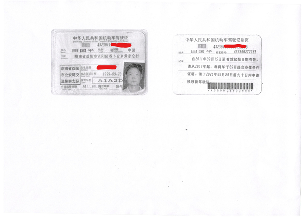 田国平